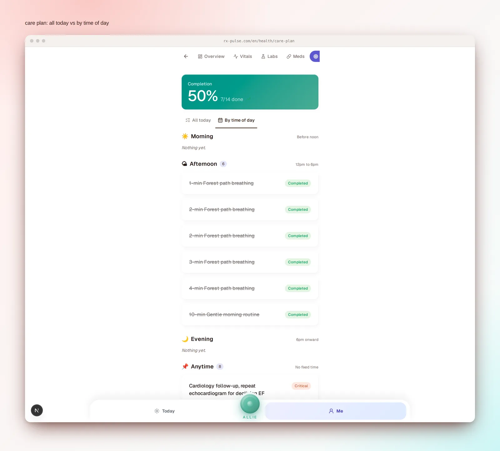 Care plan page showing the All today / By time of day segment toggle
